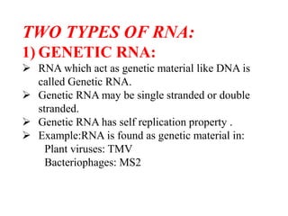 Structure of Messenger RNA
• It is a kind of single stand RNA molecule which is
complementary to sense strand of DNA mole...