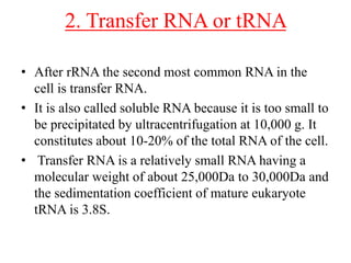 3. Ribosomal RNA or rRNA
• It is a kind of RNA molecule serving as a major
component of ribosomes.
• rRNA is a type of RNA...