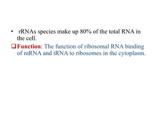 Types of DNA and RNA and their importance