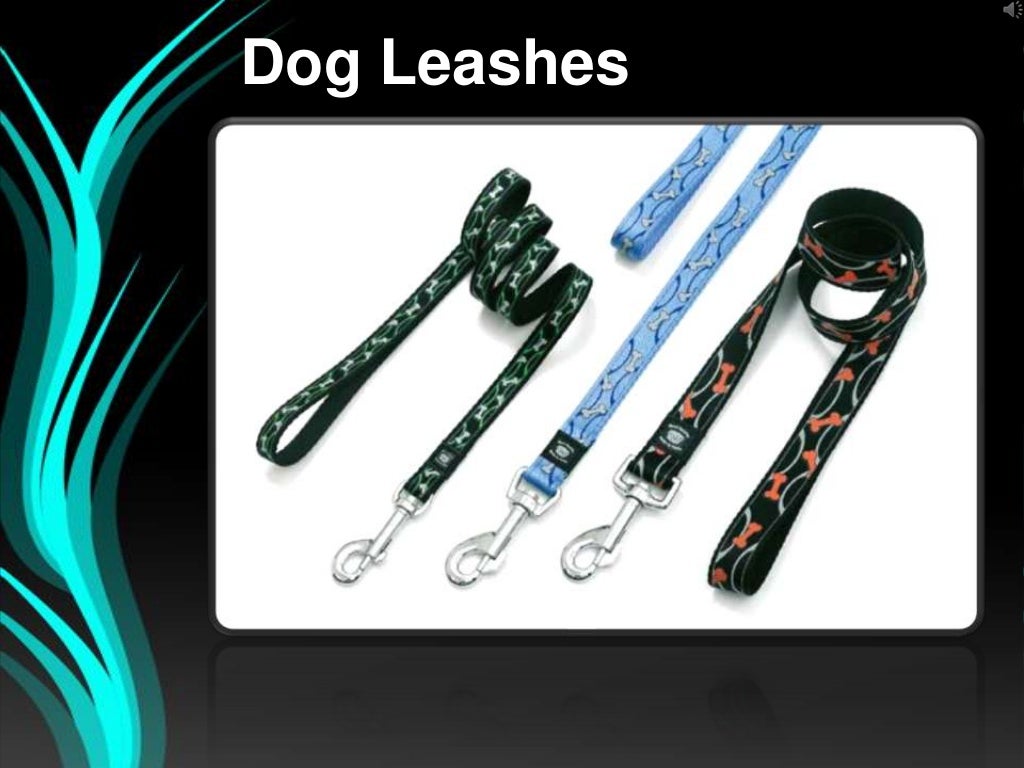 How to Buy Dog Collars and Leashes