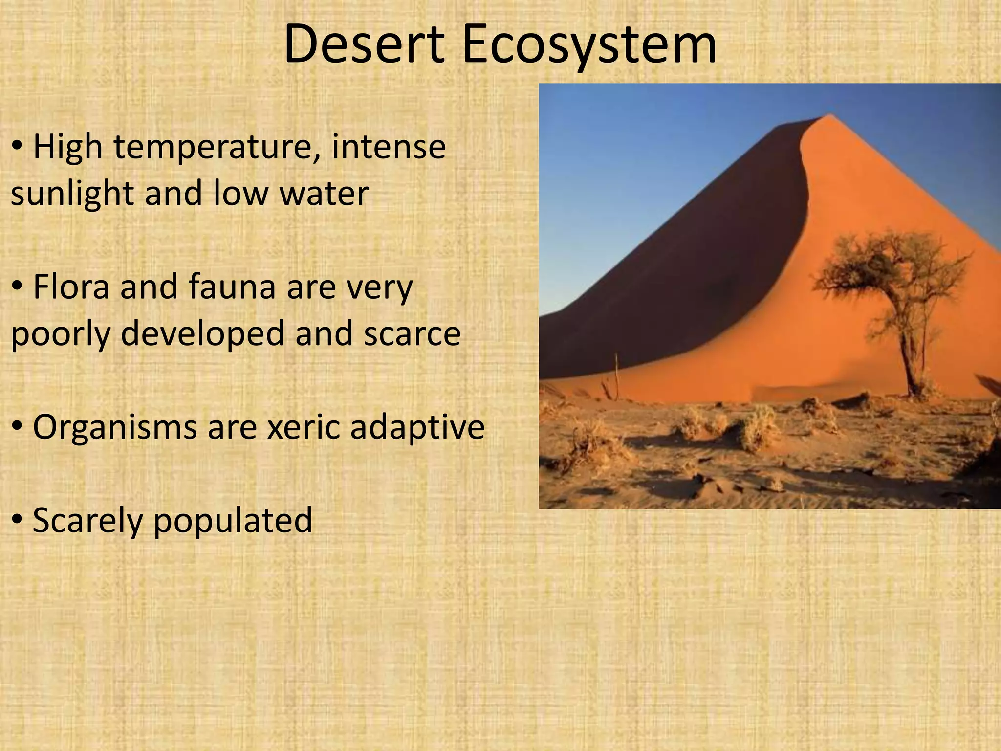 Desert Ecosystem
• High temperature, intense
sunlight and low water

• Flora and fauna are very
poorly developed and scarce

• Organisms are xeric adaptive

• Scarely populated
 
