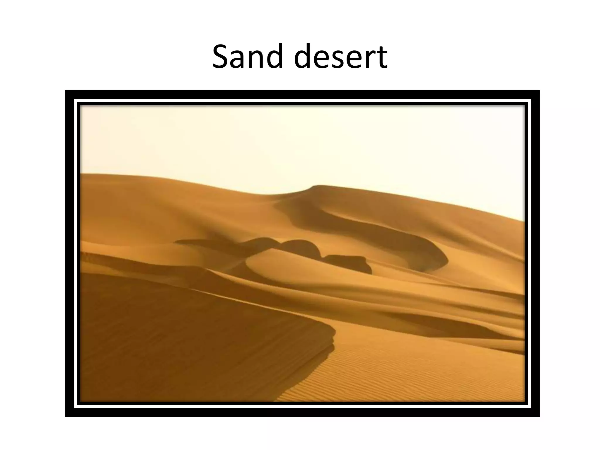 Sand desert
 