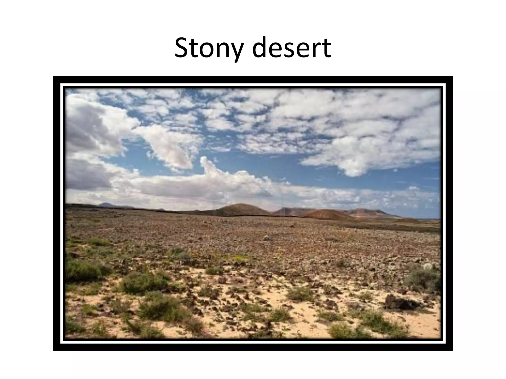 Stony desert
 