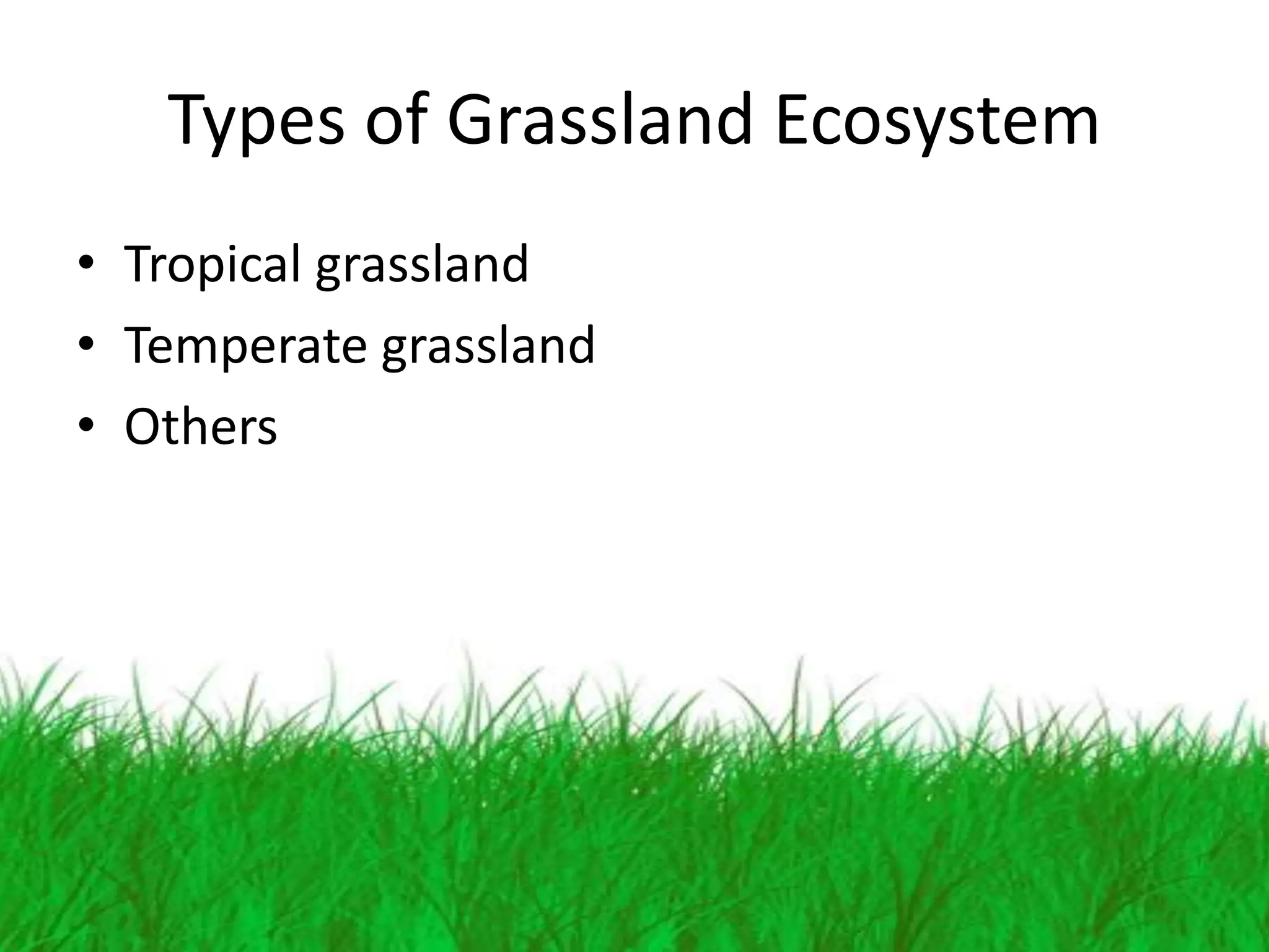 Types of Grassland Ecosystem
• Tropical grassland
• Temperate grassland
• Others
 