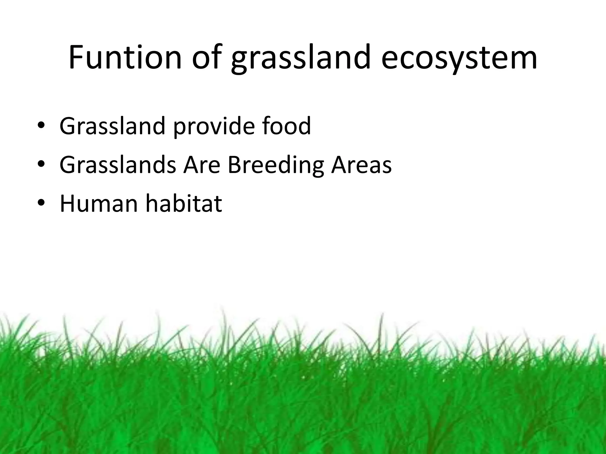 Funtion of grassland ecosystem
• Grassland provide food
• Grasslands Are Breeding Areas
• Human habitat
 