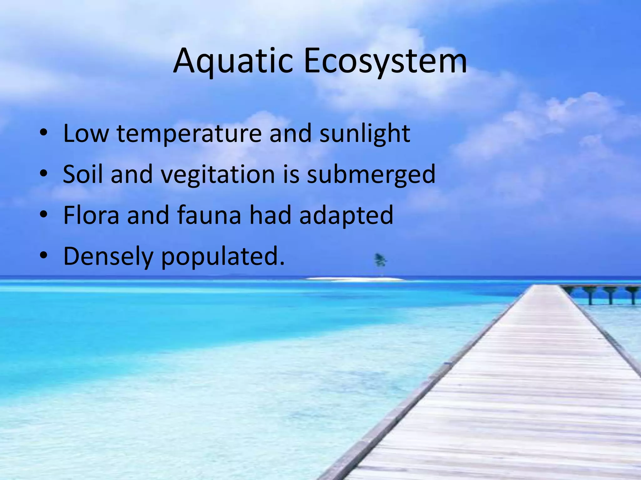 Aquatic Ecosystem
•   Low temperature and sunlight
•   Soil and vegitation is submerged
•   Flora and fauna had adapted
•   Densely populated.
 