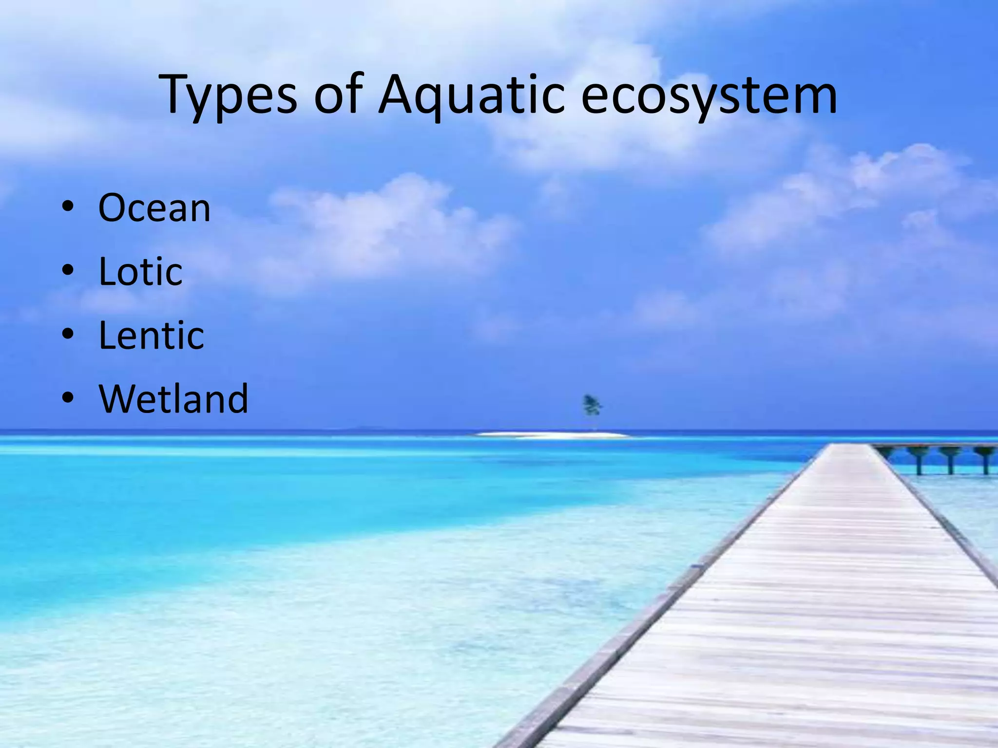Types of Aquatic ecosystem
•   Ocean
•   Lotic
•   Lentic
•   Wetland
 