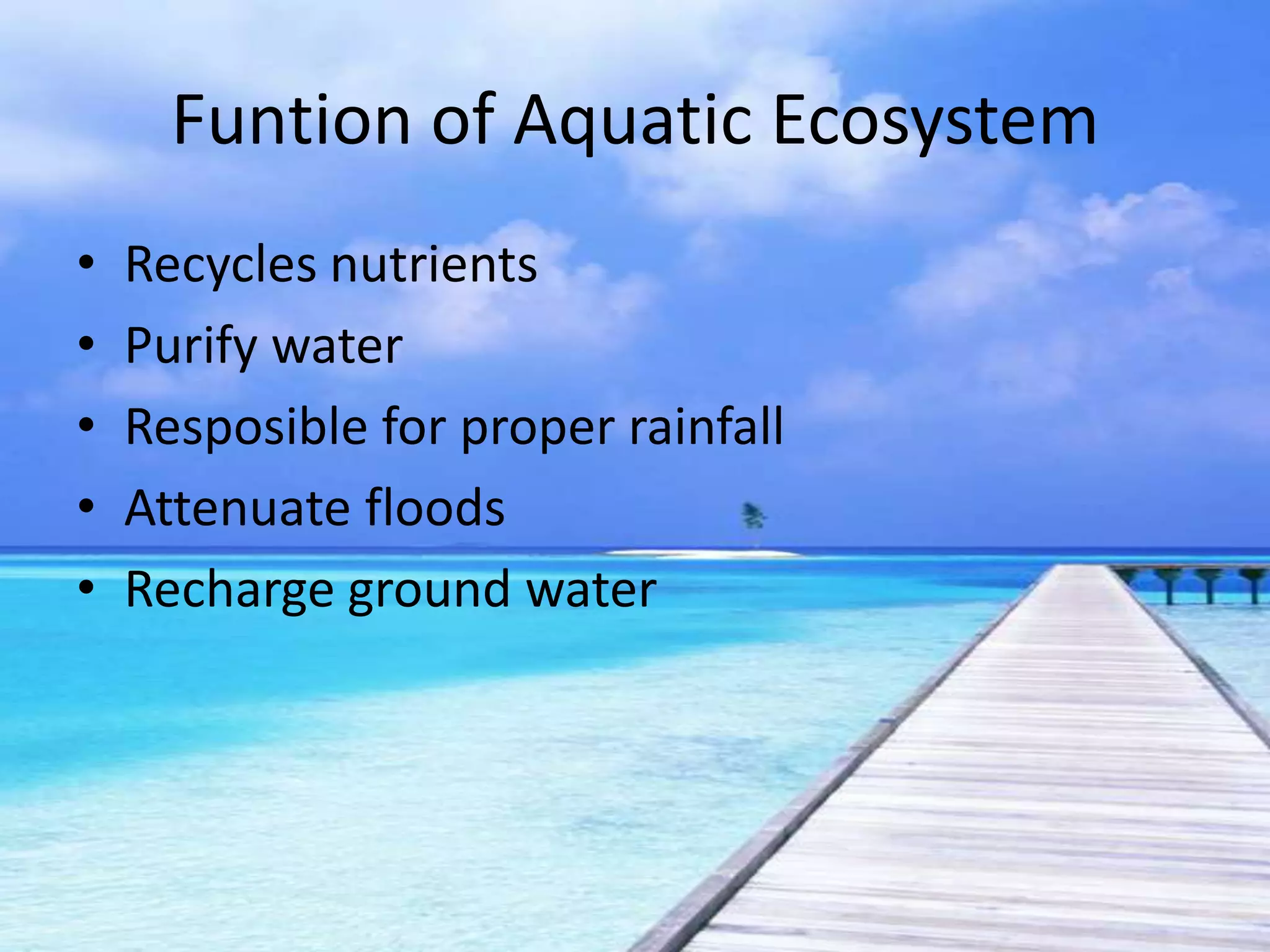 Funtion of Aquatic Ecosystem
•   Recycles nutrients
•   Purify water
•   Resposible for proper rainfall
•   Attenuate floods
•   Recharge ground water
 