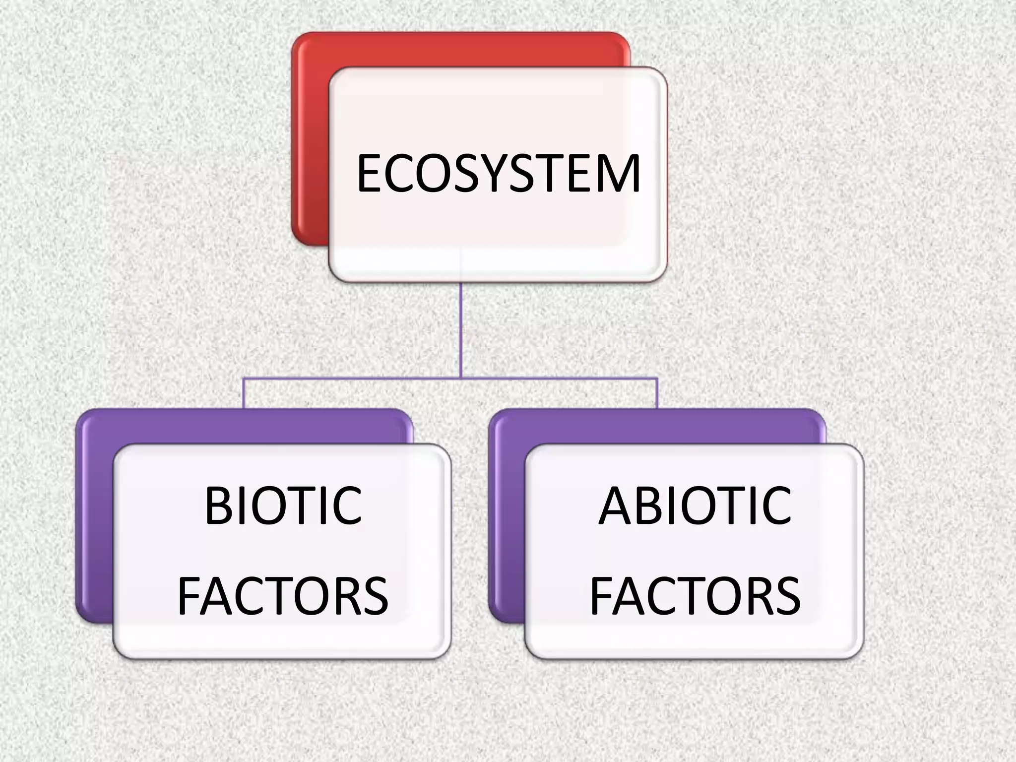 ECOSYSTEM




BIOTIC      ABIOTIC
FACTORS     FACTORS
 