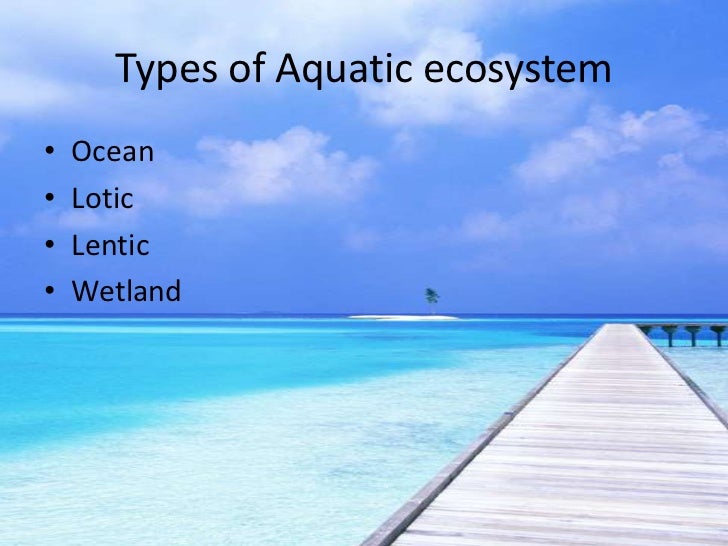 types of ecosystems