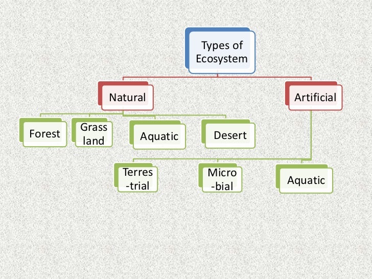 types of ecosystem 6 728 jpg cb 1333192960 types of ecosystems