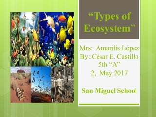 “Types of
Ecosystem”
Mrs: Amarilis López
By: César E. Castillo
5th “A”
2, May 2017
San Miguel School
 