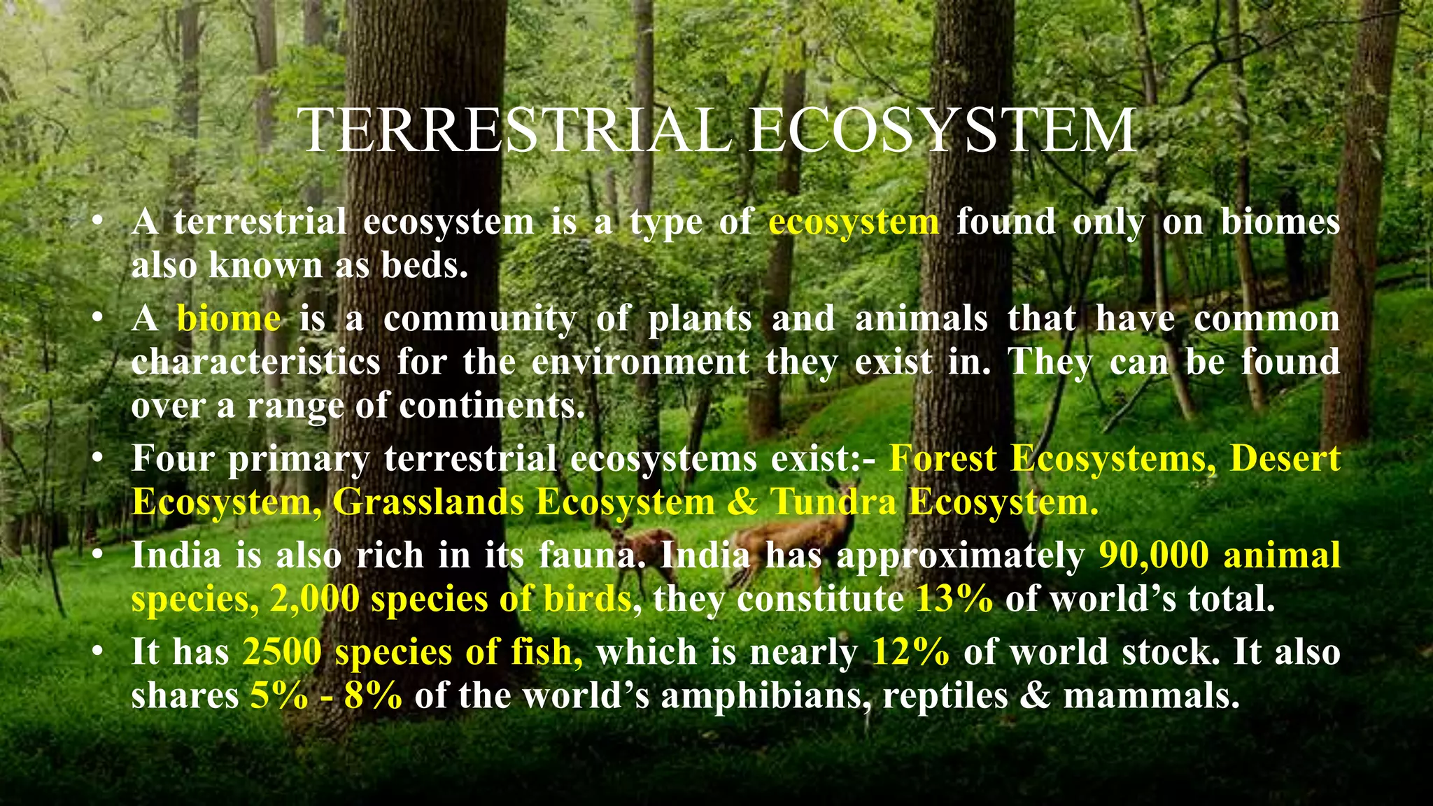 Types of Ecosystem | PPT