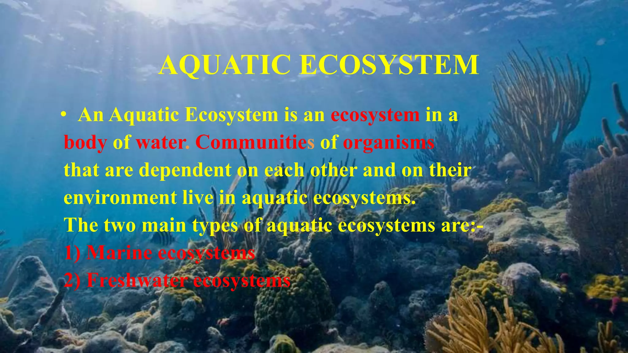 Types of Ecosystem | PPT