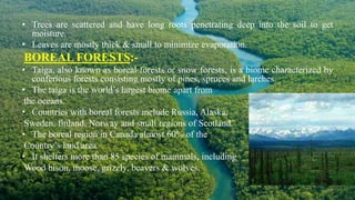 • Trees are scattered and have long roots penetrating deep into the soil to get
moisture.
• Leaves are mostly thick & small to minimize evaporation.
BOREAL FORESTS:-
• Taiga, also known as boreal forests or snow forests, is a biome characterized by
conferious forests consisting mostly of pines, spruces and larches.
• The taiga is the world’s largest biome apart from
the oceans.
• Countries with boreal forests include Russia, Alaska,
Sweden, finland, Norway and small regions of Scotland.
• The boreal region in Canada almost 60% of the
Country’s land area.
• It shelters more than 85 species of mammals, including
Wood bison, moose, grizzly, beavers & wolves.
 