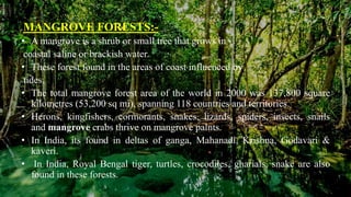 MANGROVE FORESTS:-
• A mangrove is a shrub or small tree that grows in
coastal saline or brackish water.
• These forest found in the areas of coast influenced by
tides.
• The total mangrove forest area of the world in 2000 was 137,800 square
kilometres (53,200 sq mi), spanning 118 countries and territories.
• Herons, kingfishers, cormorants, snakes, lizards, spiders, insects, snails
and mangrove crabs thrive on mangrove palnts.
• In India, its found in deltas of ganga, Mahanadi, Krishna, Godavari &
kaveri.
• In India, Royal Bengal tiger, turtles, crocodiles, gharials, snake are also
found in these forests.
 
