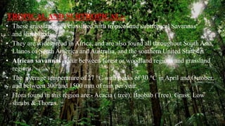 TROPICALAND SUBTROPICAL:-
• These grasslands are classified with tropical and subtropical Savannas
and shrublands
• They are widespread in Africa, and are also found all throughout South Asia,
Llanos of South America and Australia, and the southern United States.
• African savannas occur between forest or woodland regions and grassland
regions.
• The average temperature of 27 °C with peaks of 30 °C in April and October,
and between 300 and 1500 mm of rain per year.
• Flora found in this region are:- Acacia ( tree), Baobab (Tree), Grass, Low
shrubs & Thorns.
 