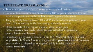 TEMPERATE GRASSLANDS:-
• Temperate grasslands have hot summers and cold winters.
• Summer temperatures can be well over 100 degrees Fahrenheit, while
winter temperatures can be as low as -40 degrees Fahrenheit.
• They typically have between 10 and 35 inches of precipitation a year,
much of it occurring in the late spring and early summer.
• Other animals of this region include: deer, mice, jack
rabbits, snakes, fox, owls, blackbirds meadowlarks, sparrows,
quails, hawks and hyenas.
• Grasslands go by many names. In the U.S. Midwest, they're known
as prairies. In South America, they're called pampas. Central Eurasian
grasslands are referred to as steppes, while in Africa they're
named savannas.
 