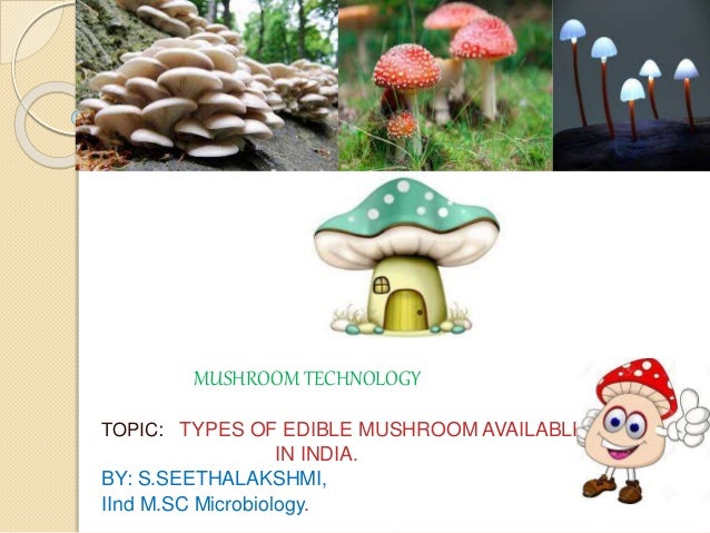 Types of edible mushroom in india