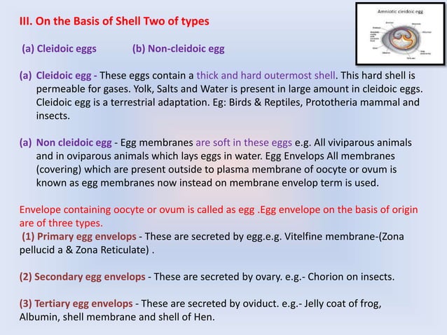 Types of egg, Classification of eggs, Structure of frog egg, Structure