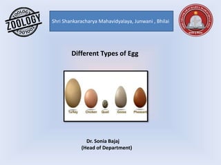 Shri Shankaracharya Mahavidyalaya, Junwani , Bhilai
Different Types of Egg
Dr. Sonia Bajaj
(Head of Department)
 