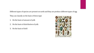 Different types of species are present on earth and they are produce different types of egg
They can classify on the basis of three type
1. On the basis of amount of yolk
2. On the basis of distribution of yolk
3. On the basis of shell
 