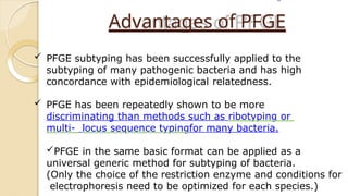 Pfe Types Types of electrophoresis Types of electrophoresisTypes of ...