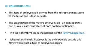 ii) ONEOTHERA TYPE:
• This type of embryo sac is derived from the micropylar megaspore
of the tetrad and is four nucleate.
• The organization of the mature embryo sac is_ an egg apparatus
and a uninucleate central cell. It does not have antipodals.
• This type of embryo sac is characteristic of the family Onagraceae.
• Schisandra chinensis, however, is the only example outside this
family where such a type of embryo sac occurs.
 