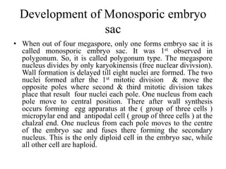 Development of Monosporic embryo
sac
• When out of four megaspore, only one forms embryo sac it is
called monosporic embryo sac. It was 1st observed in
polygonum. So, it is called polygonum type. The megaspore
nucleus divides by only karyokinensis (free nuclear divivsion).
Wall formation is delayed till eight nuclei are formed. The two
nuclei formed after the 1st mitotic division & move the
opposite poles where second & third mitotic division takes
place that result four nuclei each pole. One nucleus from each
pole move to central position. There after wall synthesis
occurs forming egg apparatus at the ( group of three cells )
micropylar end and antipodal cell ( group of three cells ) at the
chalzal end. One nucleus from each pole moves to the centre
of the embryo sac and fuses there forming the secondary
nucleus. This is the only diploid cell in the embryo sac, while
all other cell are haploid.
 