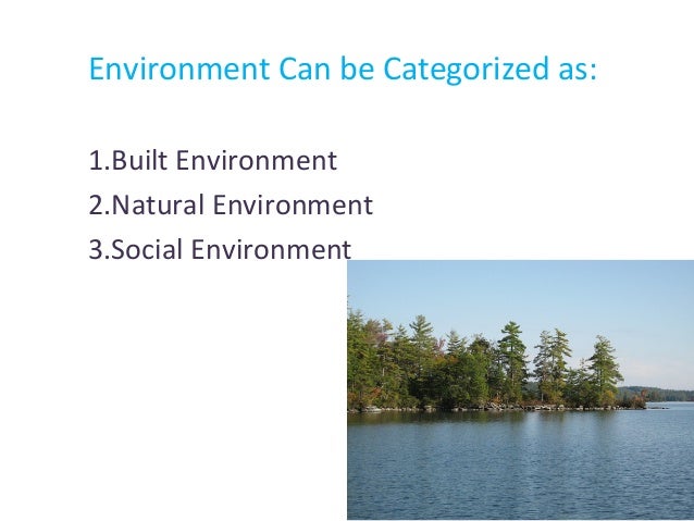 🎉 What are types of environment. What Are the Different Types of