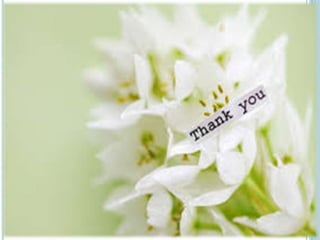 Types of evaluation tool