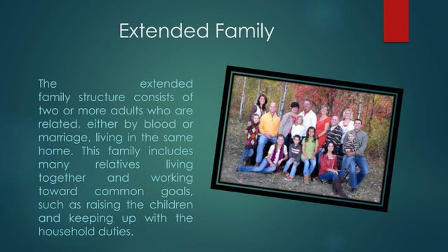 Types of family structures | PPTX