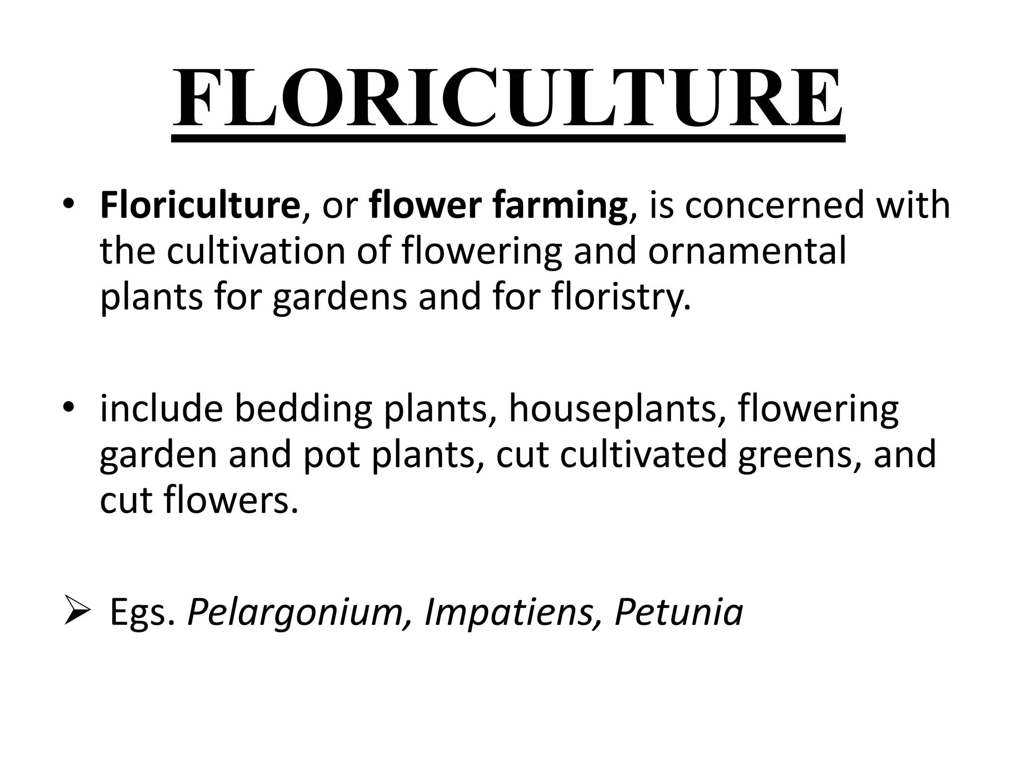 FLORICULTURE 
• Floriculture, or flower farming, is concerned with 
the cultivation of flowering and ornamental 
plants for gardens and for floristry. 
• include bedding plants, houseplants, flowering 
garden and pot plants, cut cultivated greens, and 
cut flowers. 
 Egs. Pelargonium, Impatiens, Petunia 
 