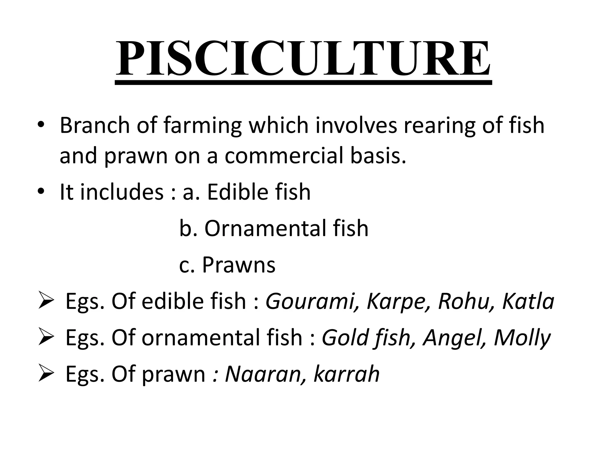 PISCICULTURE 
• Branch of farming which involves rearing of fish 
and prawn on a commercial basis. 
• It includes : a. Edible fish 
b. Ornamental fish 
c. Prawns 
 Egs. Of edible fish : Gourami, Karpe, Rohu, Katla 
 Egs. Of ornamental fish : Gold fish, Angel, Molly 
 Egs. Of prawn : Naaran, karrah 
 