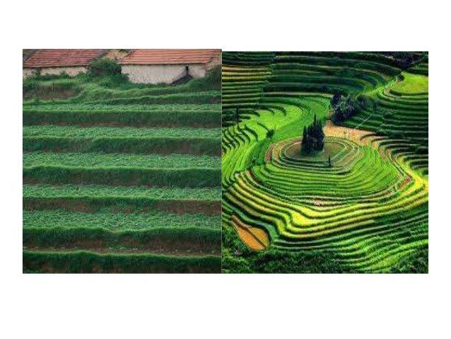 types-of-farming-ppt