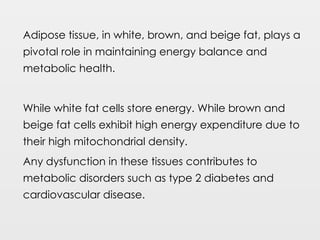 Adipose tissue, in white, brown, and beige fat, plays a
pivotal role in maintaining energy balance and
metabolic health.
While white fat cells store energy. While brown and
beige fat cells exhibit high energy expenditure due to
their high mitochondrial density.
Any dysfunction in these tissues contributes to
metabolic disorders such as type 2 diabetes and
cardiovascular disease.
 
