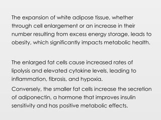 The expansion of white adipose tissue, whether
through cell enlargement or an increase in their
number resulting from excess energy storage, leads to
obesity, which significantly impacts metabolic health.
The enlarged fat cells cause increased rates of
lipolysis and elevated cytokine levels, leading to
inflammation, fibrosis, and hypoxia.
Conversely, the smaller fat cells increase the secretion
of adiponectin, a hormone that improves insulin
sensitivity and has positive metabolic effects.
 
