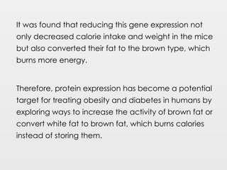 It was found that reducing this gene expression not
only decreased calorie intake and weight in the mice
but also converted their fat to the brown type, which
burns more energy.
Therefore, protein expression has become a potential
target for treating obesity and diabetes in humans by
exploring ways to increase the activity of brown fat or
convert white fat to brown fat, which burns calories
instead of storing them.
 