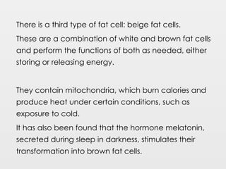 There is a third type of fat cell: beige fat cells.
These are a combination of white and brown fat cells
and perform the functions of both as needed, either
storing or releasing energy.
They contain mitochondria, which burn calories and
produce heat under certain conditions, such as
exposure to cold.
It has also been found that the hormone melatonin,
secreted during sleep in darkness, stimulates their
transformation into brown fat cells.
 