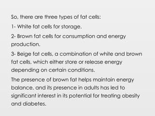 So, there are three types of fat cells:
1- White fat cells for storage.
2- Brown fat cells for consumption and energy
production.
3- Beige fat cells, a combination of white and brown
fat cells, which either store or release energy
depending on certain conditions.
The presence of brown fat helps maintain energy
balance, and its presence in adults has led to
significant interest in its potential for treating obesity
and diabetes.
 
