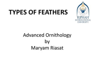 Feathers fall into following broad categories based on
their structure and location on the bird’s body
 Vaned feathers
o ...