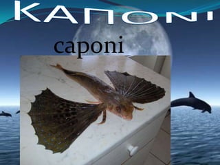 Types of fishes 3 from Cyprus | PPTX