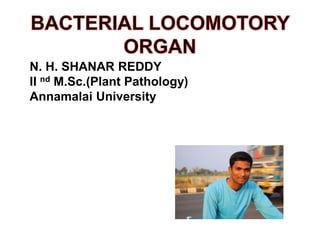N. H. SHANAR REDDY
II nd M.Sc.(Plant Pathology)
Annamalai University
 