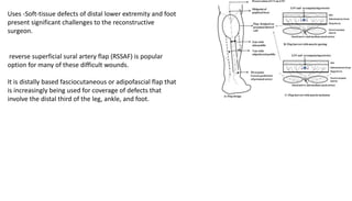 Uses -Soft-tissue defects of distal lower extremity and foot
present significant challenges to the reconstructive
surgeon.
reverse superficial sural artery flap (RSSAF) is popular
option for many of these difficult wounds.
It is distally based fasciocutaneous or adipofascial flap that
is increasingly being used for coverage of defects that
involve the distal third of the leg, ankle, and foot.
 