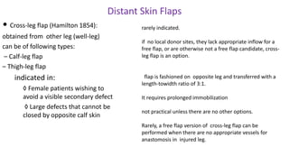 Distant Skin Flaps
• Cross-leg flap (Hamilton 1854):
obtained from other leg (well-leg)
can be of following types:
– Calf-leg flap
– Thigh-leg flap
indicated in:
◊ Female patients wishing to
avoid a visible secondary defect
◊ Large defects that cannot be
closed by opposite calf skin
rarely indicated.
if no local donor sites, they lack appropriate inflow for a
free flap, or are otherwise not a free flap candidate, cross-
leg flap is an option.
flap is fashioned on opposite leg and transferred with a
length-towidth ratio of 3:1.
It requires prolonged immobilization
not practical unless there are no other options.
Rarely, a free flap version of cross-leg flap can be
performed when there are no appropriate vessels for
anastomosis in injured leg.
 