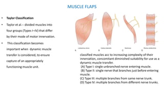 MUSCLE FLAPS
• Taylor Classification
• Taylor et al.-- divided muscles into
four groups (Types I–IV) that differ
by their mode of motor innervation.
• This classification becomes
important when dynamic muscle
transfer is considered, to ensure
capture of an appropriately
functioning muscle unit.
classified muscles acc to increasing complexity of their
innervation, concomitant diminished suitability for use as a
dynamic muscle transfer.
(A) Type I: single unbranched nerve entering muscle.
(B) Type II: single nerve that branches just before entering
muscle.
(C) Type III: multiple branches from same nerve trunk.
(D) Type IV: multiple branches from different nerve trunks.
 