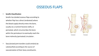 OSSEOUS FLAPS
• Serafin Classification
Serafin has divided osseous flaps according to
whether flap has a direct (endosteal) where
the blood supply directly enters the bone,
usually via a nutrient foramen (left), or
periosteal, which circumscribes the bone
within the periosteum to eventually reach the
bone indirectly (periosteal) circulation .
• Vascularized joint transfers could similarly be
subclassified according to the source of
vascularization of their bony constituents.
 