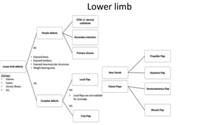 Lower limb
 