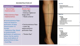 RECONSTRUCTION OF
Proximal third Middle 1/3 Distal 1/3
• Muscle flaps
– Gastrocnemius
• Myocutaneous flaps
– Gastrocnemius
• Fasciocutaneous flaps--
These are based on
perforators of deep
arterial system &
include:
– Saphenous flap--Based
on posteromedial
perforators of saphenous
artery; Can be used to
close small defects of
proximal third of tibia.
– Sural flap.
Muscle flaps:
– Soleus flap
– Extensor digitorum
longus (EDL)
– Tibialis anterior
• Fasciocutaneous flaps
– Lower leg
septocutaneous
perforator flaps
– “Ponten flap”
 