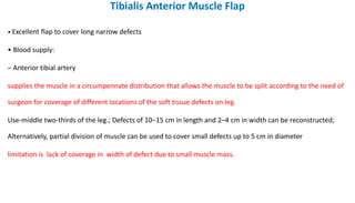 Tibialis Anterior Muscle Flap
• Excellent flap to cover long narrow defects
• Blood supply:
– Anterior tibial artery
supplies the muscle in a circumpennate distribution that allows the muscle to be split according to the need of
surgeon for coverage of different locations of the soft tissue defects on leg.
Use-middle two-thirds of the leg.; Defects of 10–15 cm in length and 2–4 cm in width can be reconstructed;
Alternatively, partial division of muscle can be used to cover small defects up to 5 cm in diameter
limitation is lack of coverage in width of defect due to small muscle mass.
 